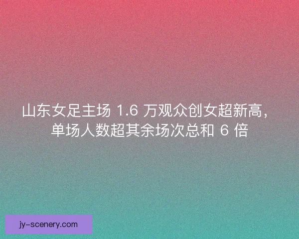 山东女足主场 1.6 万观众创女超新高，单场人数超其余场次总和 6 倍