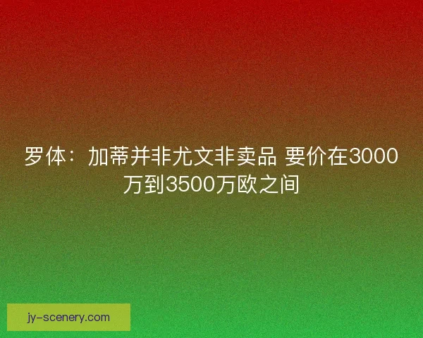 罗体：加蒂并非尤文非卖品 要价在3000万到3500万欧之间