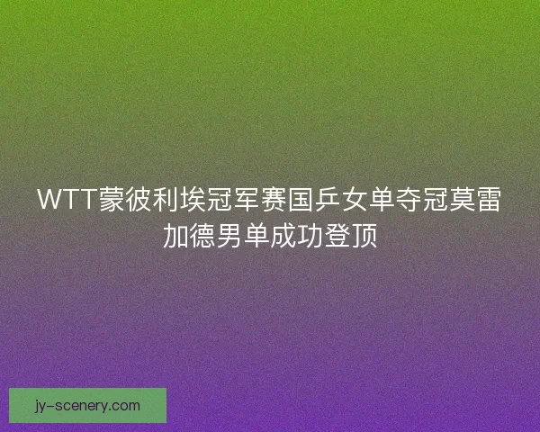 WTT蒙彼利埃冠军赛国乒女单夺冠莫雷加德男单成功登顶