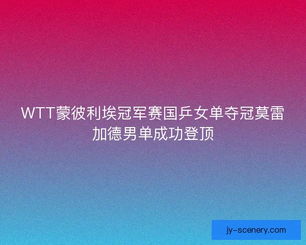 WTT蒙彼利埃冠军赛国乒女单夺冠莫雷加德男单成功登顶 WTT蒙彼利埃冠军赛国乒女单夺冠莫雷加德男单成功登顶