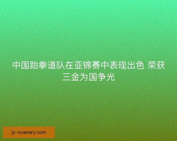 中国跆拳道队在亚锦赛中表现出色 荣获三金为国争光 中国跆拳道队在亚锦赛中表现出色 荣获三金为国争光