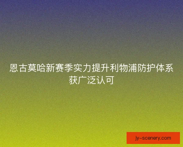 恩古莫哈新赛季实力提升利物浦防护体系获广泛认可 恩古莫哈新赛季实力提升利物浦防护体系获广泛认可